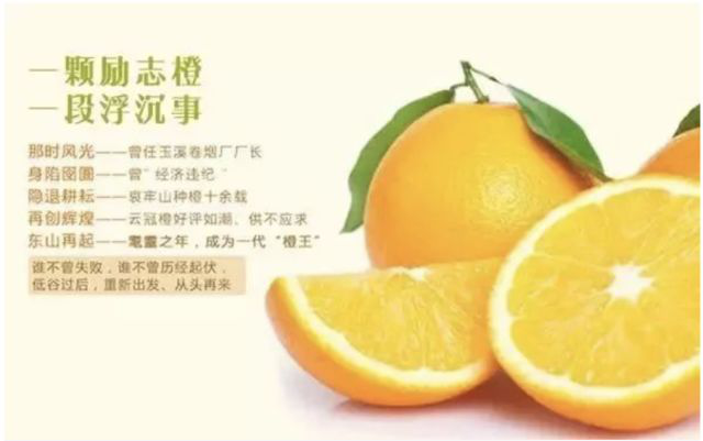 褚时健与励志橙 褚时健与励志橙