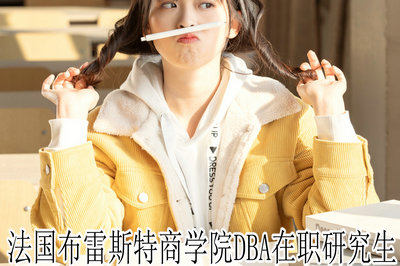 法国布雷斯特商学院DBA在职研究生 法国布雷斯特商学院DBA在职研究生
