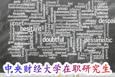 中央财经大学在职研究生 中央财经大学在职研究生