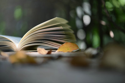 上海音乐学院非全日制研究生 上海音乐学院非全日制研究生